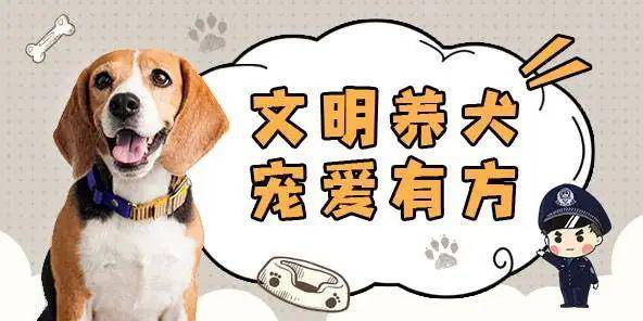 合肥养犬最新规定，开启宁静养犬新篇章，探索自然和谐共生之旅