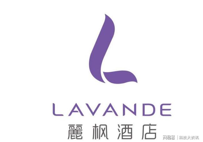 蚊子最新传播，夏日友情之旅的奇妙探秘