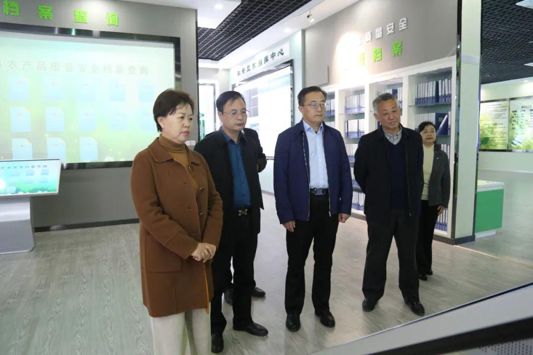 武清最新消息,精细化方案决策_品牌版94.990