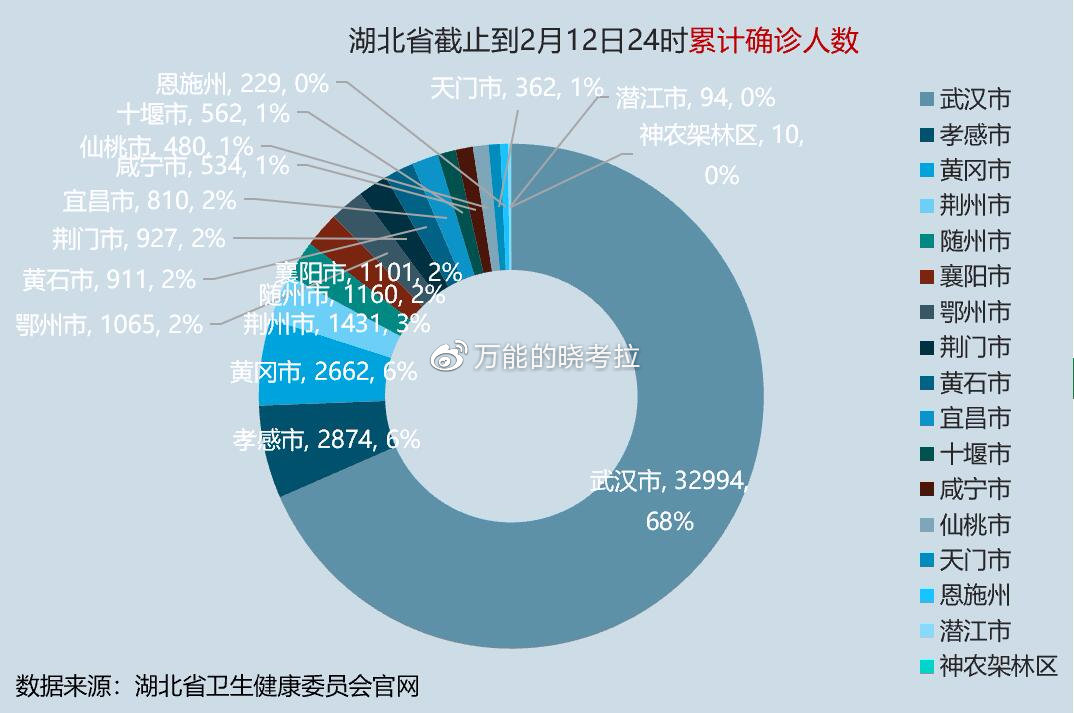 湖北最新疫情,数据解释说明规划_运动版94.422