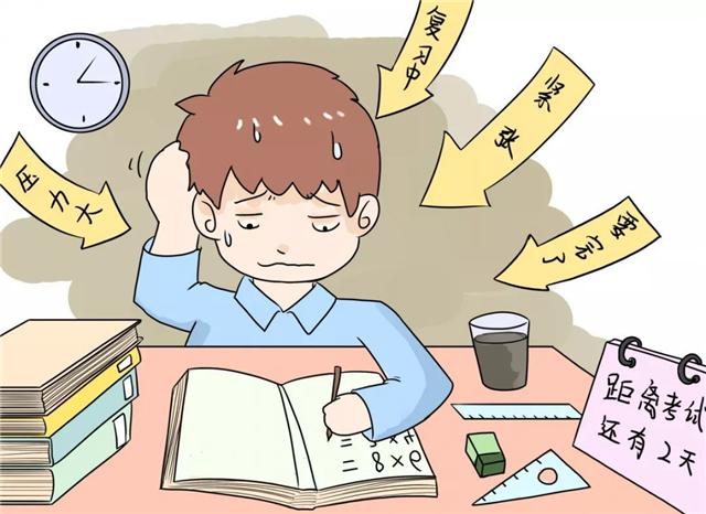 D丁流行歌曲，自信与成就感的旋律之歌