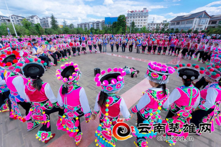 最新左脚舞，舞动日常的温馨回忆之旅