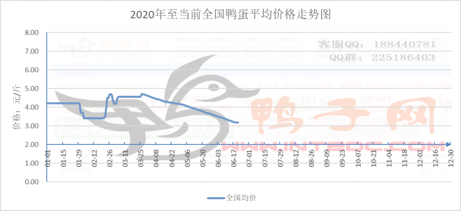 鸭蛋最新价格，市场分析、趋势预测与行情动态