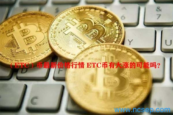 ETC币最新行情概览与深度分析