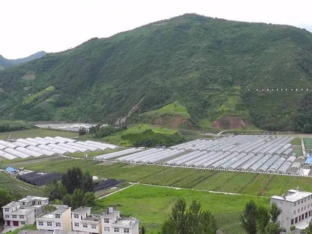大竹竹石快线最新图片，科技重塑未来，无限体验新纪元
