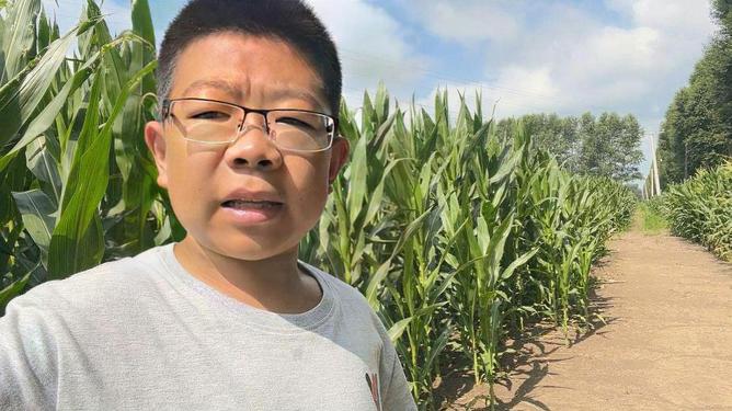 玉米地里的刘玉柱最新动态/消息