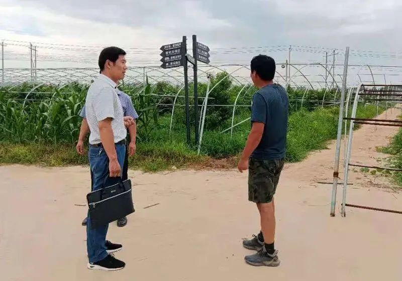 沈阳缝纫女工，从工厂到自然的美丽旅程最新消息