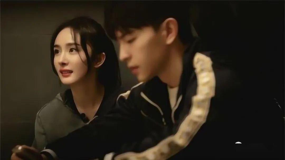 超密演员，小巷中的隐秘宝藏探寻
