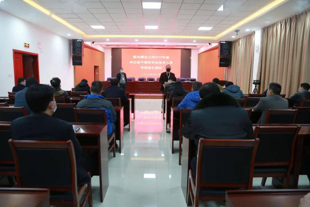 王安群最新动态，多维发展聚焦科研、管理与社会的融合进步