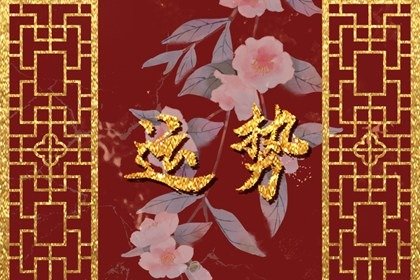 女巫本周运势详解解析报告
