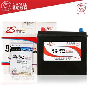 骆驼电瓶12V价格大全与购买指南