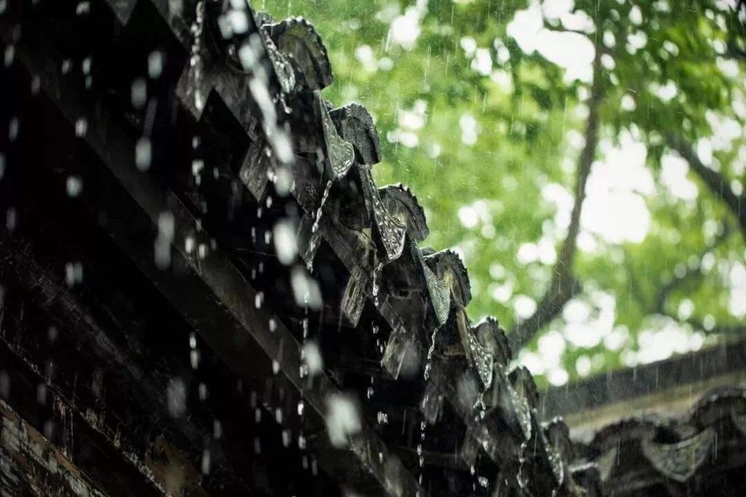 小水滴最新动态，持续前行，励志之滴水穿石的力量