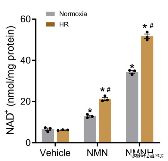 NMNN11最新资讯揭秘，特定领域的影响力与地位