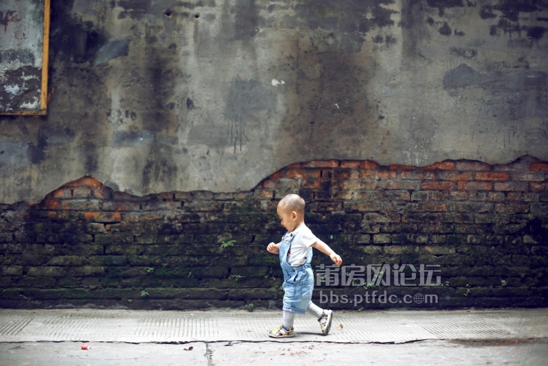 宝宝摄影比赛，小巷深处的宝藏宝宝摄影探索之旅