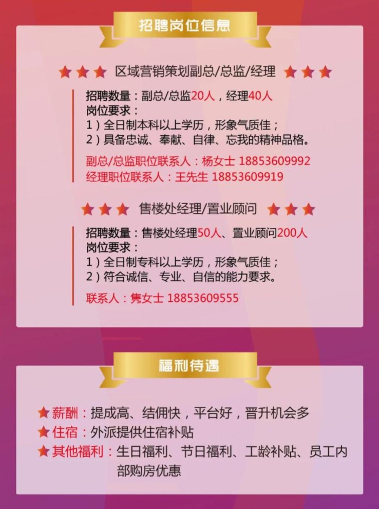 丰县最新招聘启航，变化铸就自信与成就，共赴新征程