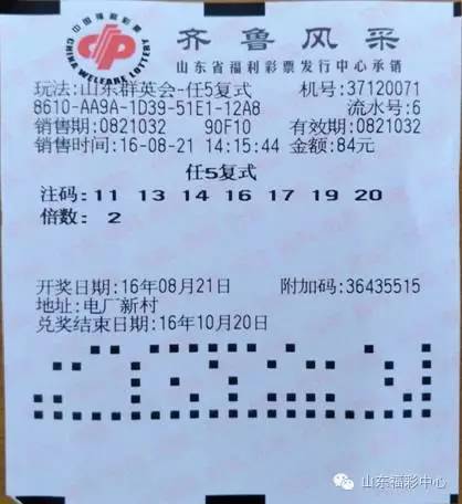 山东群英会走势图更新，自然美景之旅，探寻内心宁静之道