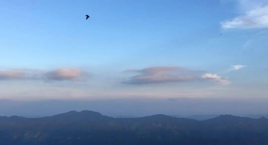 南安市最新资讯，探索自然美景，寻找内心平和之旅
