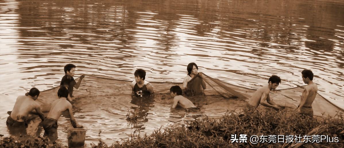 洪梅电器厂招聘信息揭秘，背后的温馨故事与求职指南
