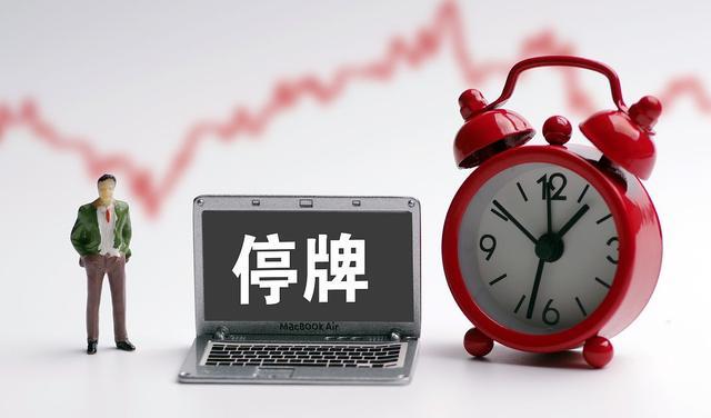 股票停牌详解，秘密与家的温暖之间的探索