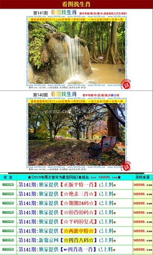 澳门王中王100的资料,执行机制评估_外观版57.567