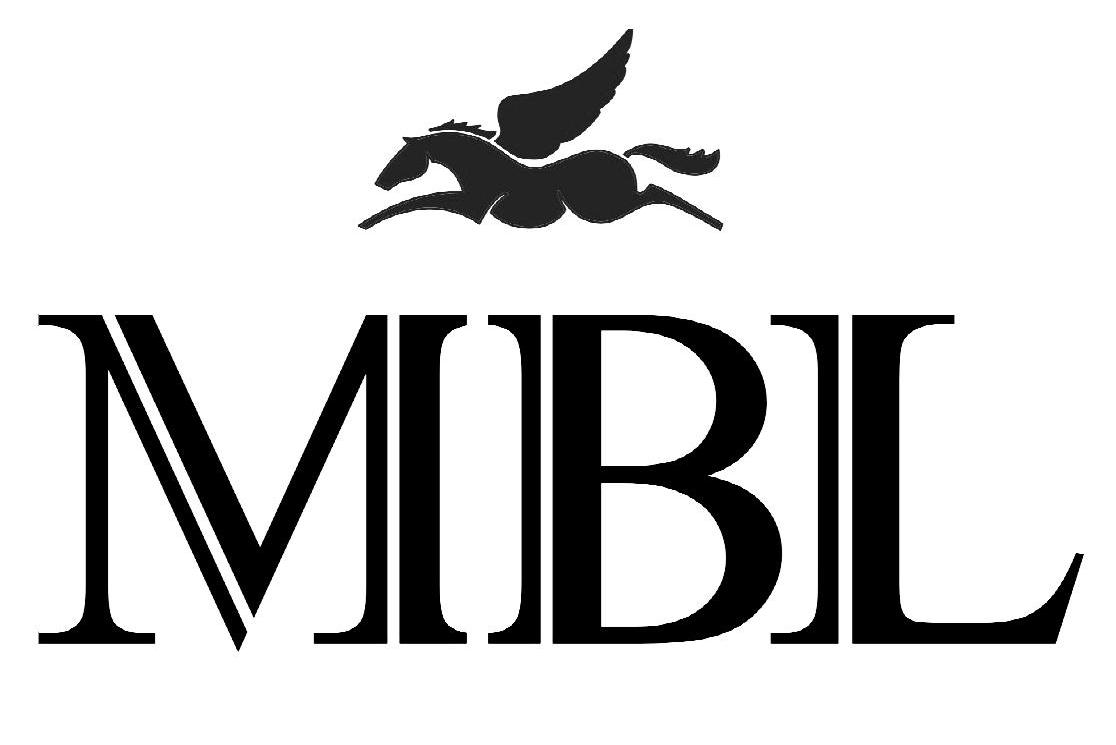 MBL公司引领行业创新，塑造未来蓝图的新动态