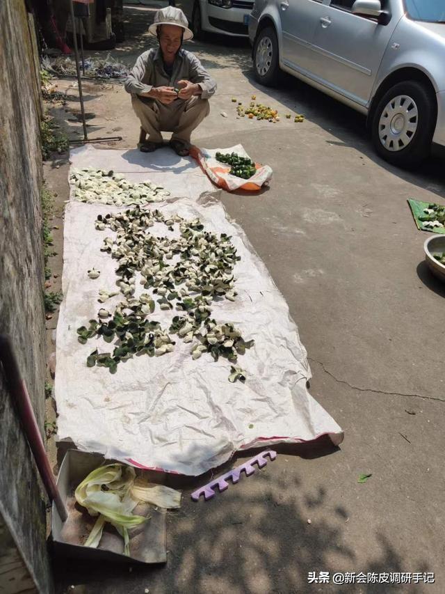 新会最新动态，多维度视角下的城市发展探析