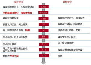 股票上市全流程详解，从选择上市地到成功挂牌的详细步骤指南