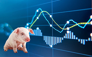 最新猪价信息表揭示行业变迁与时代地位