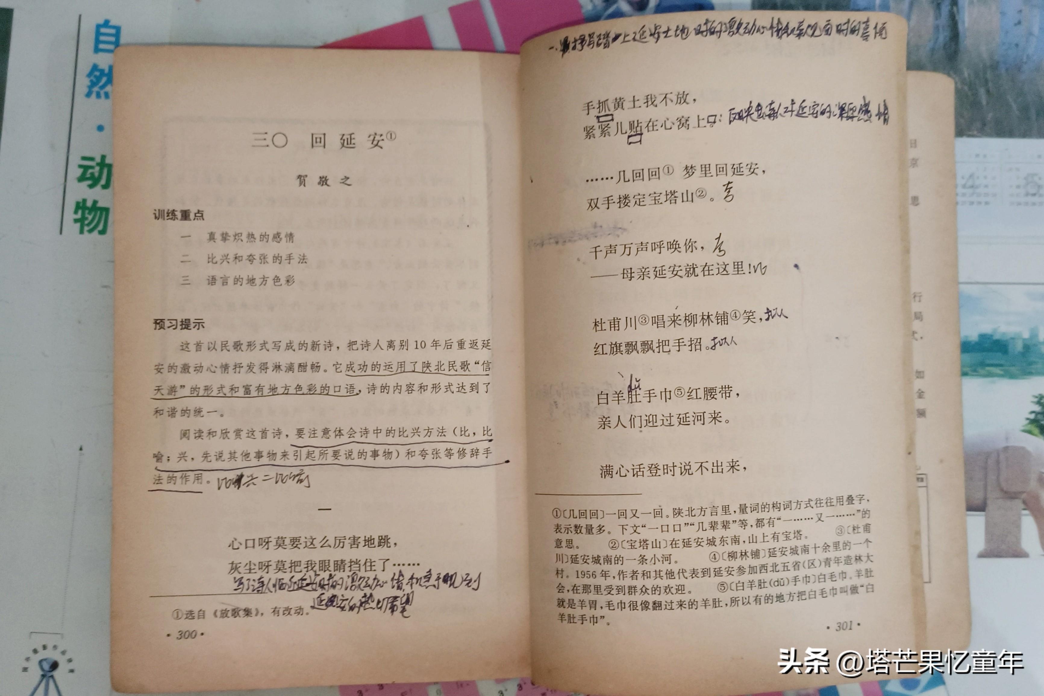 初中语文课程标准（最新版）详解与解读