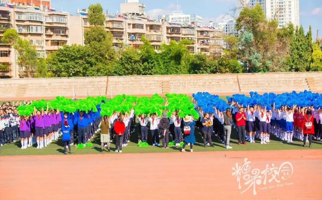 广播操比赛，校园内外的活力互动