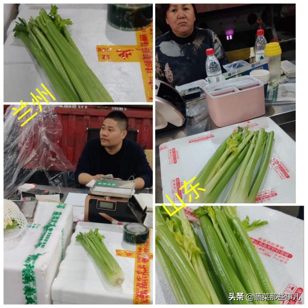 西芹最新市场价格行情概览