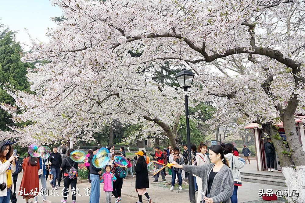 北京中山公园门票价格详解及指南