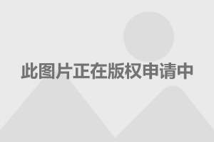 富士康最新动态与小巷深处的独特小店探秘揭秘