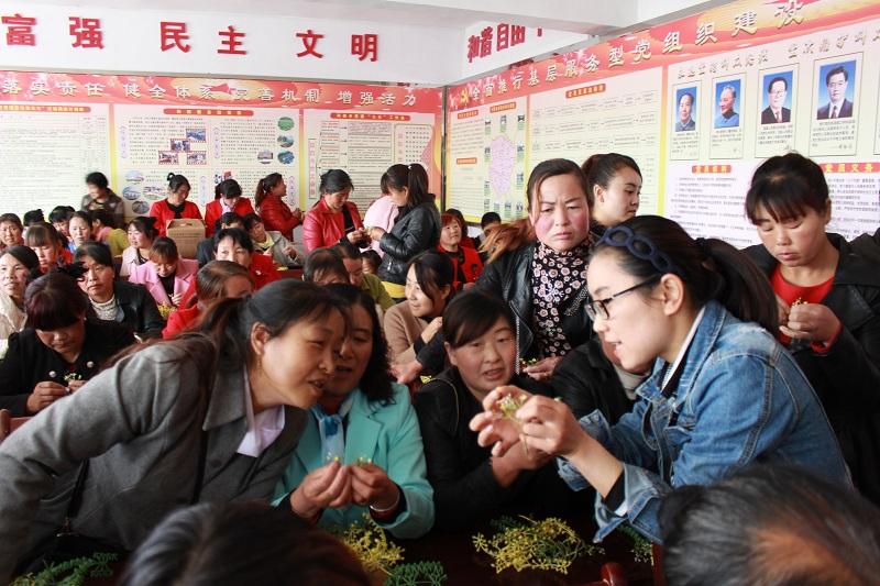 最新微福利攻略，轻松完成任务与掌握新技能的步骤指南