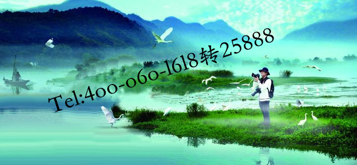 最新6v之旅，探寻自然怀抱，重拾内心宁静