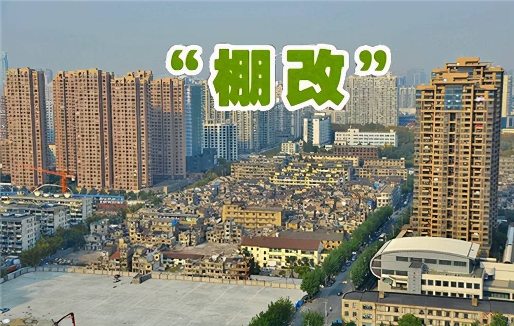 齐河最新新闻，多维度探讨城市发展的观点荟萃