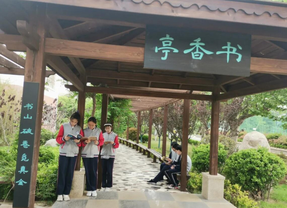 最新忏悔录揭秘，小巷中的秘密特色小店