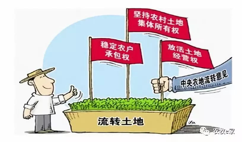 现代金融按揭服务发展趋势与变革深度解析