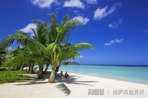揭秘最新杀码，自然美景的心灵之旅开启！