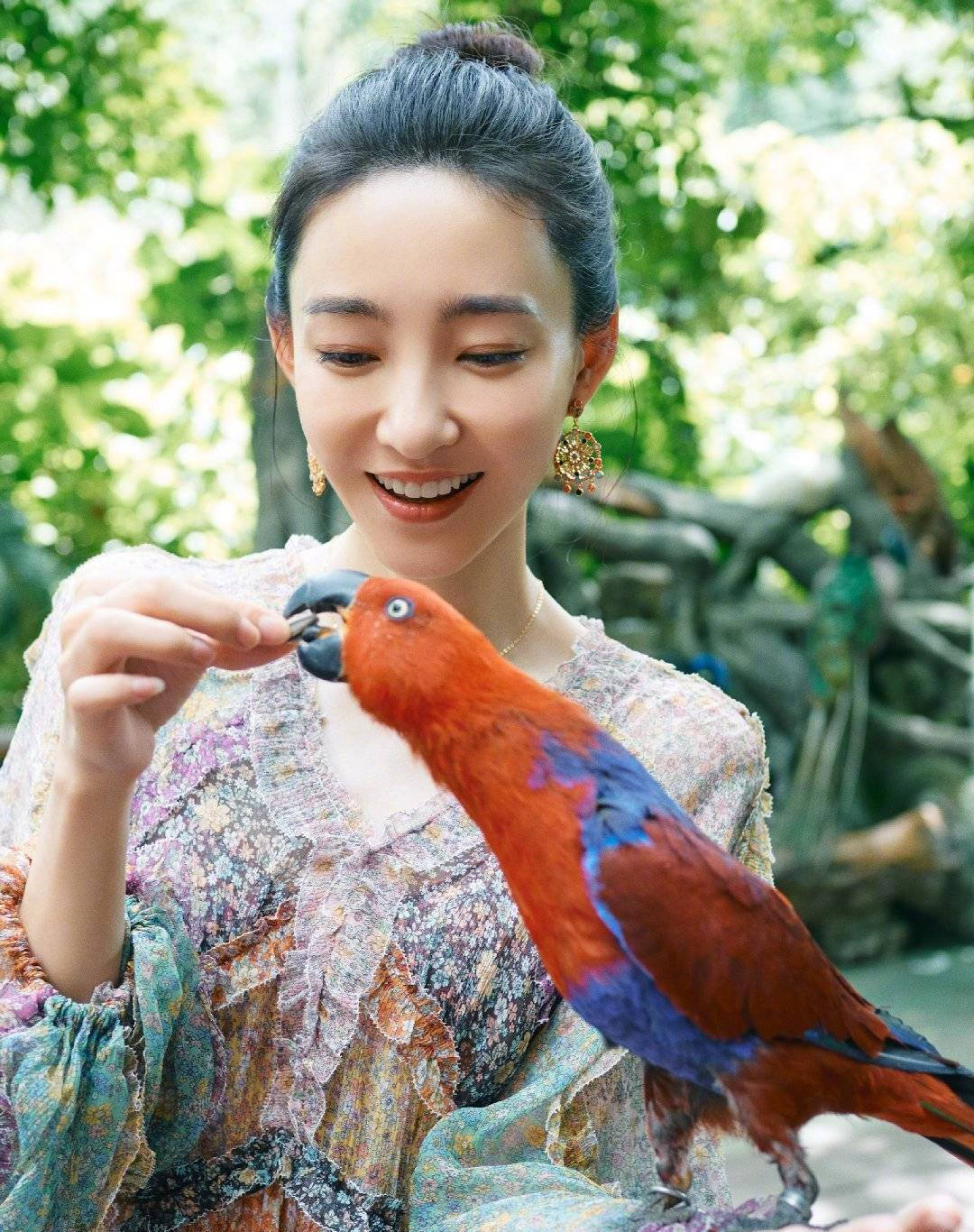王丽坤最新动态，拥抱自然，心灵宁静之旅启程