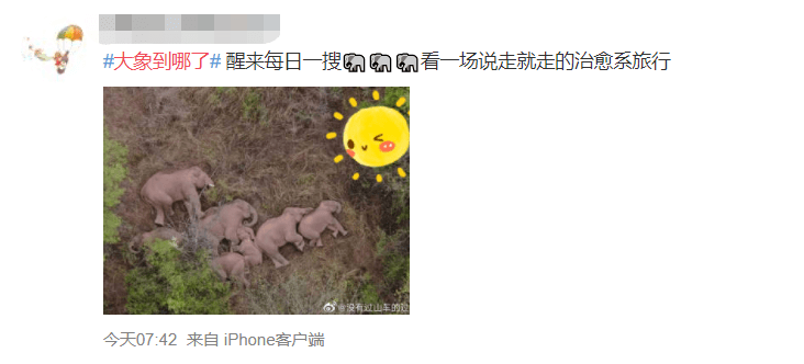 最新广告音乐，家的温馨旋律之选