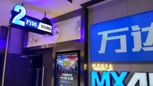 万达影院最新电影，观影指南与步骤详解