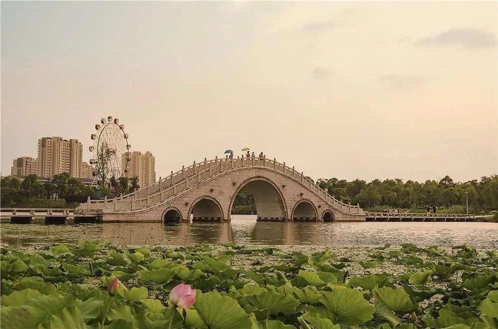 新网球王子最新，心灵与自然的美景之旅