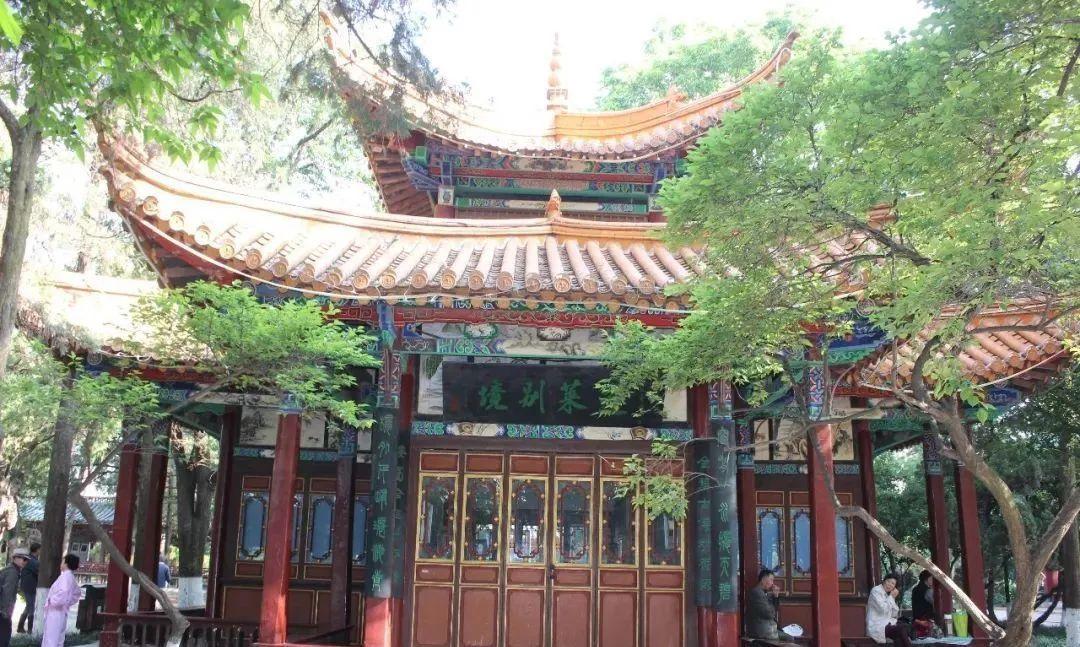 大白最新，与自然美景的亲密旅行，探寻内心平和之地