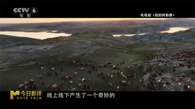 最新BT电影，探索自然美景，寻找内心平静之旅