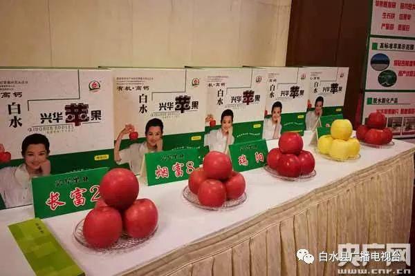 平原最新招工信息，职业机会、发展前景一览