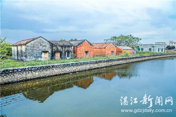 湛江最新，城市新貌与发展动态概览