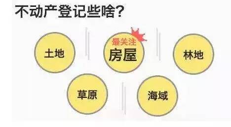 最新微拍现象，多维解读与深度探讨