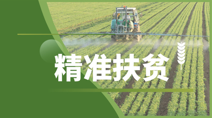 ady映画最新动态，热门电影与行业动态一览