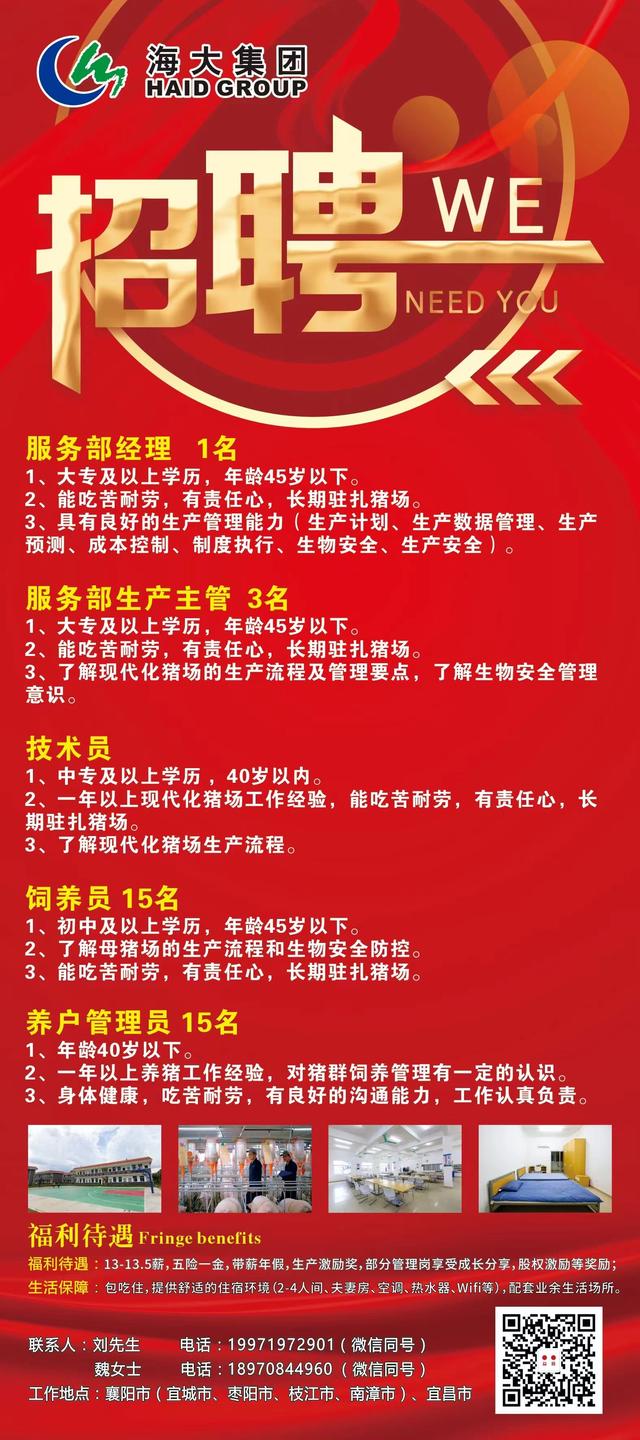 拉链厂最新招聘信息，启程探索职业与自然的双重旅行